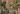 Army Man Injured Almora Region